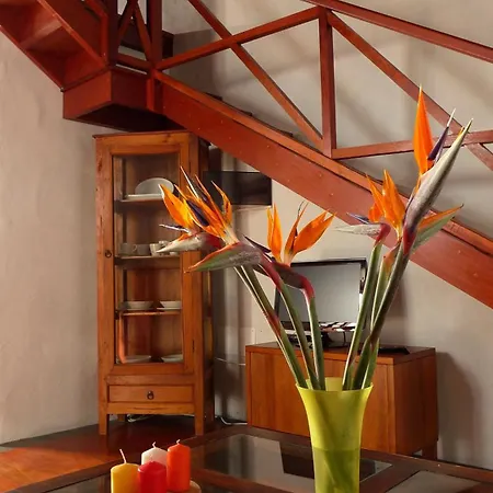 Country house El Tenique